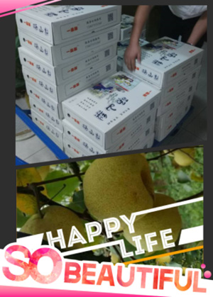 不朽情缘官网登录入口精密公司送员工砀山酥梨