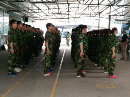 不朽情缘官网登录入口精密拓展活动序幕